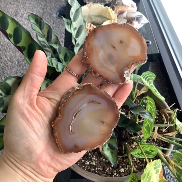 Carnelian Plate