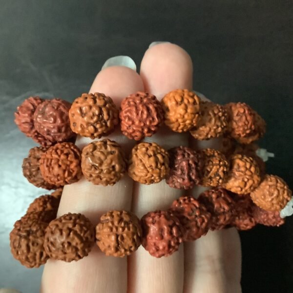 Rudrashka Bracelet