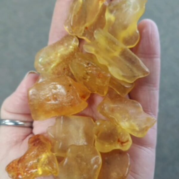 Baltic Amber Specimen