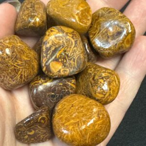 Calligraphy Jasper Tumb