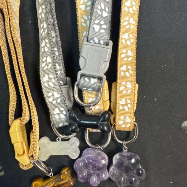 Dog Collar