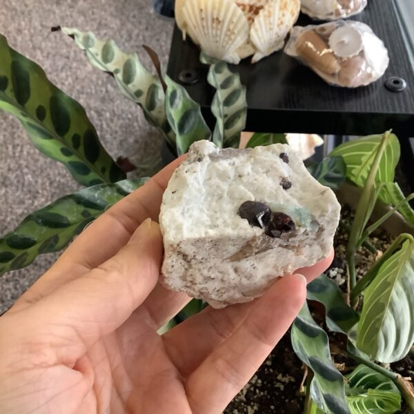 Combined Garnet, Aquamarine, and Albite from Pakistan