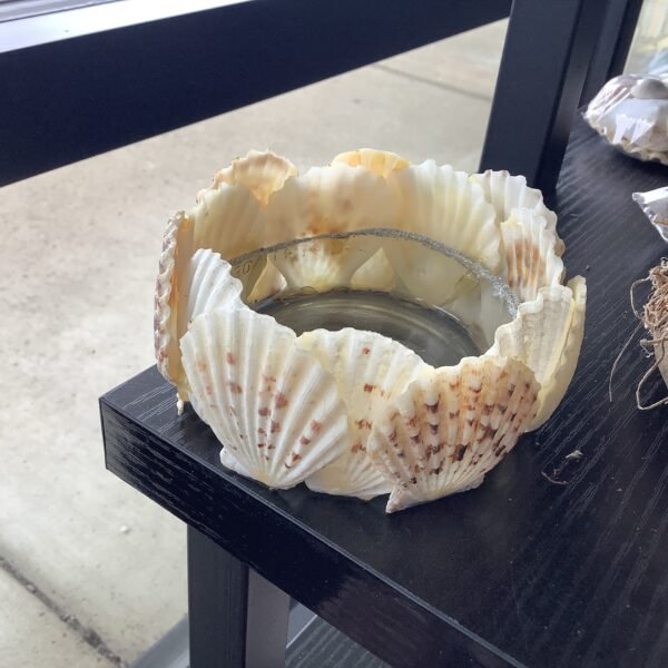 Seashell Candle Holder