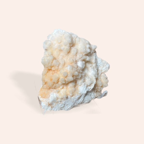 Pink White Aragonite