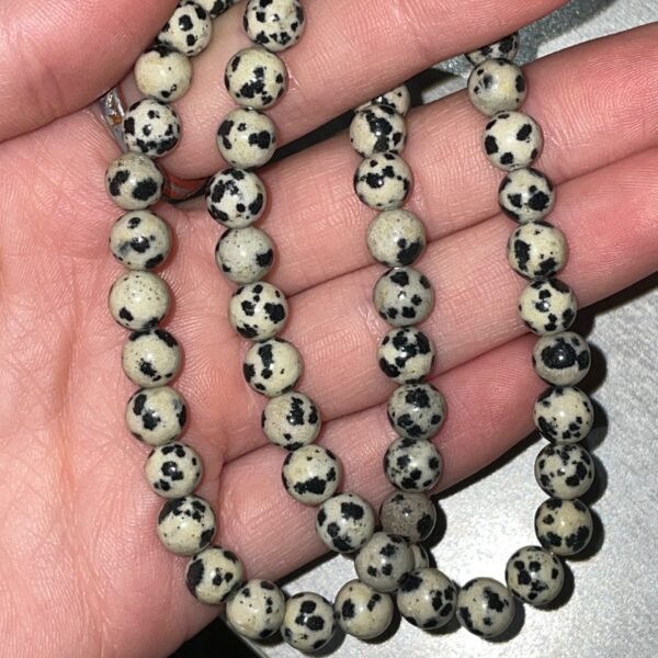 Dalmatian Jasper Bracelet