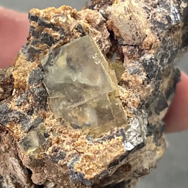 Fluorite - Mongolian on matrix