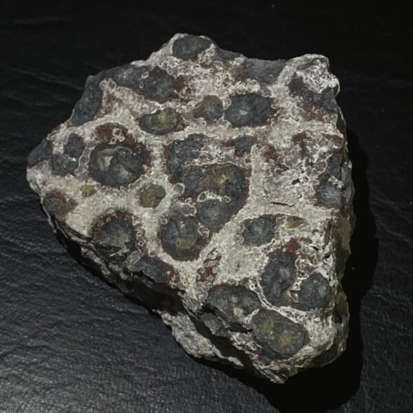 Raw Animal Jasper