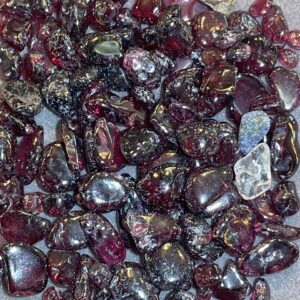 Garnet Chips