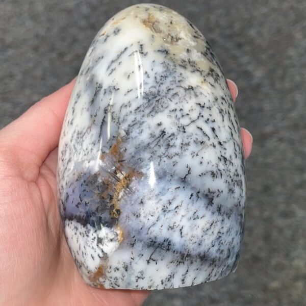 Dendritic Agate Freeform