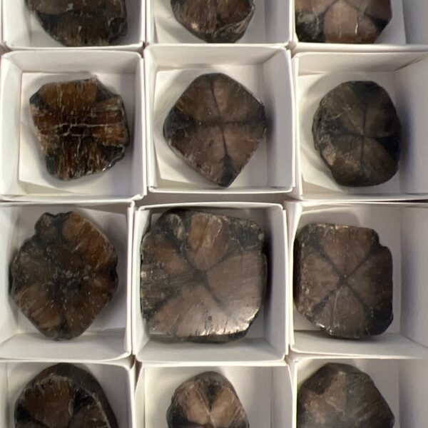 Chiastolite