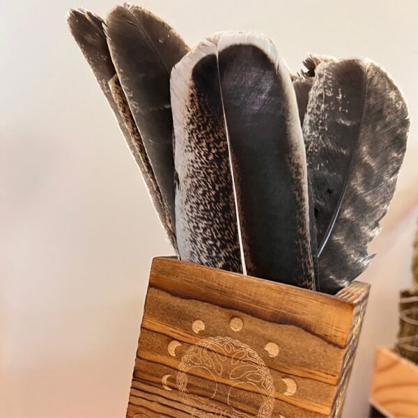 Smudging Turkey Feather