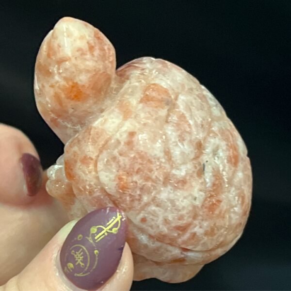 Sunstone Turtle