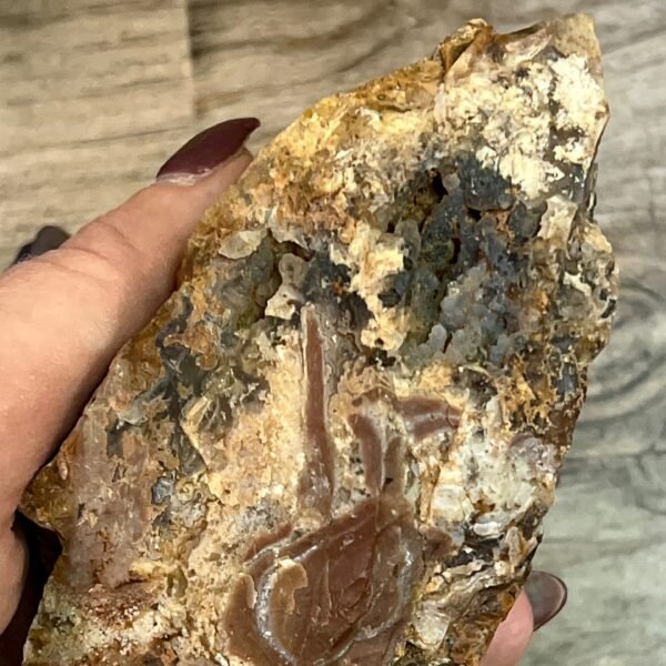 Turkish Botryoidal Agate
