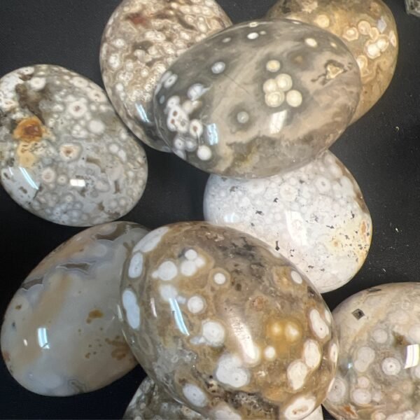 Orbicular Ocean Jasper Palm Stone