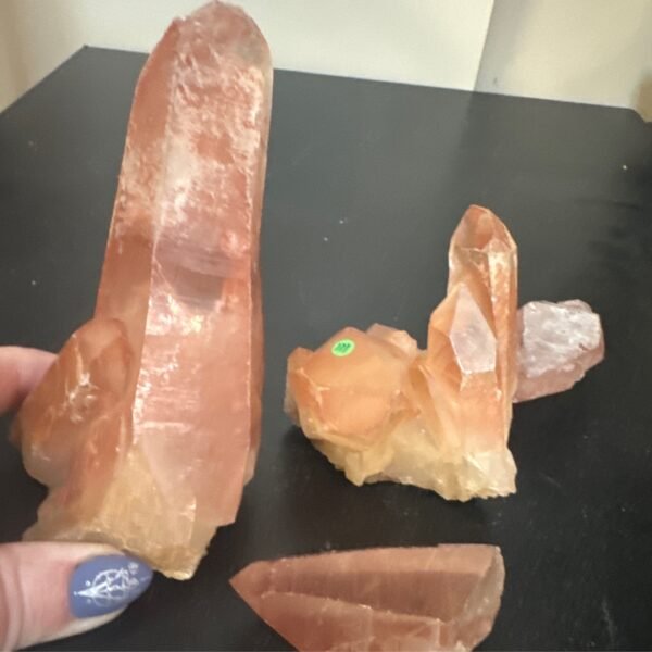 Scarlet Lemurian