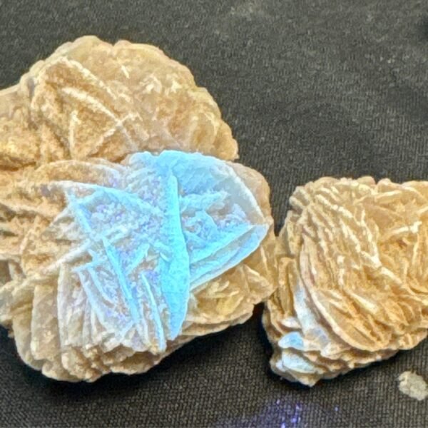UV Reactive Desert Rose Selenite
